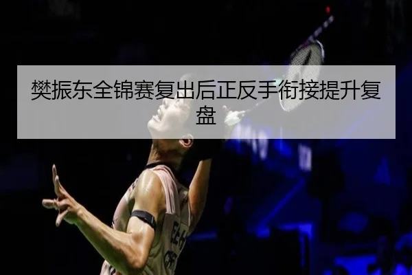 樊振东全锦赛复出后正反手衔接提升复盘 - MK SPORTS